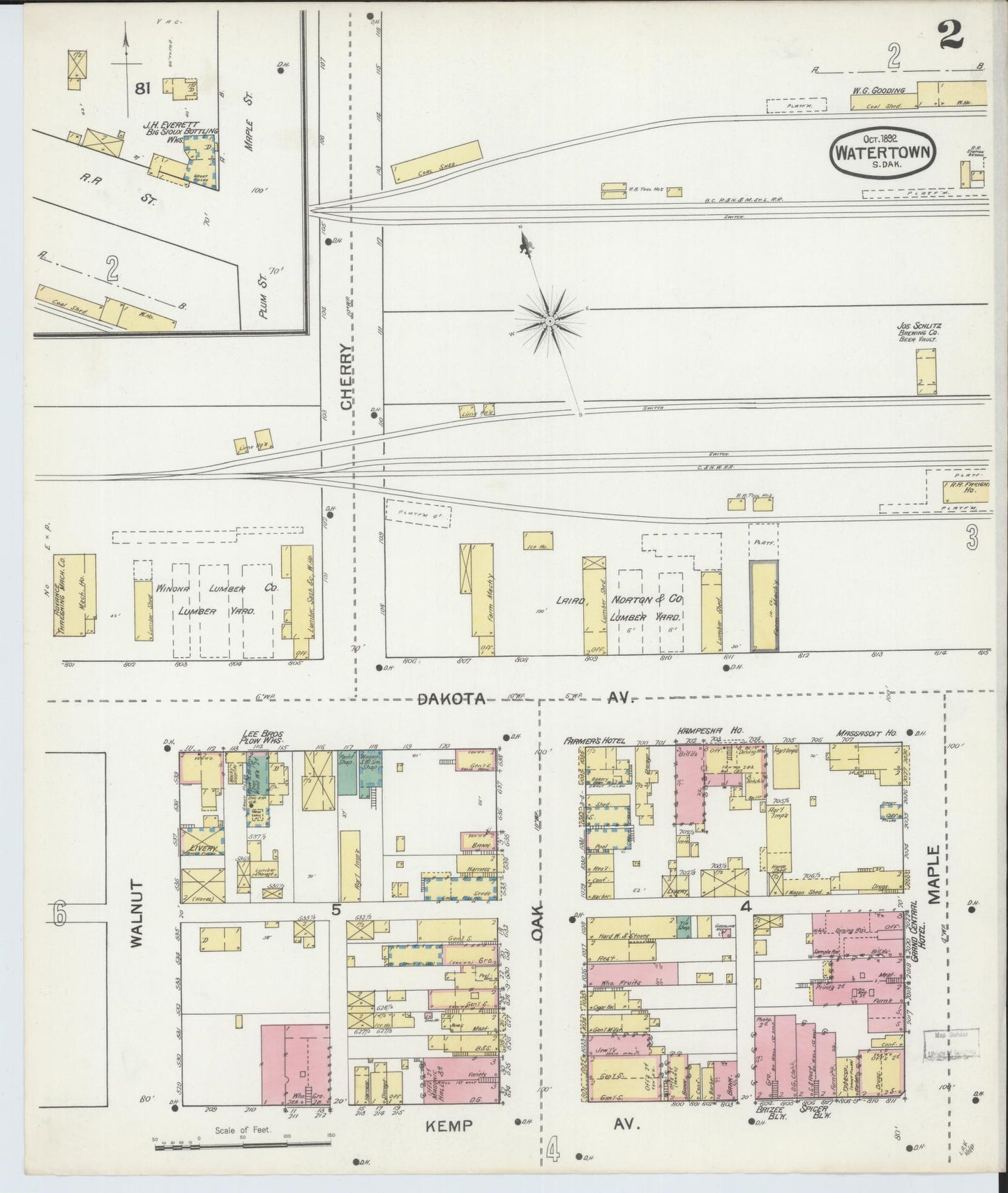Sanborn Fire Insurance Map from Watertown, Codington County, South Dakota (1892), Sheet #0002 - Historic Sanborn Fire Insurance Map Print, vintage old map wall art, antique decor, genealogy gift, South Dakota South Dakota map