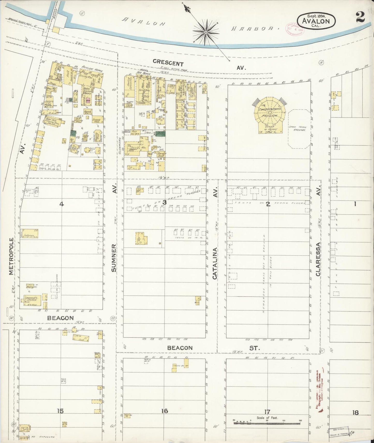 Sanborn Fire Insurance Map from Avalon, Los Angeles County, California (1894), Sheet #0002 - Historic Sanborn Fire Insurance Map Print, vintage old map wall art, antique decor, genealogy gift, California California map