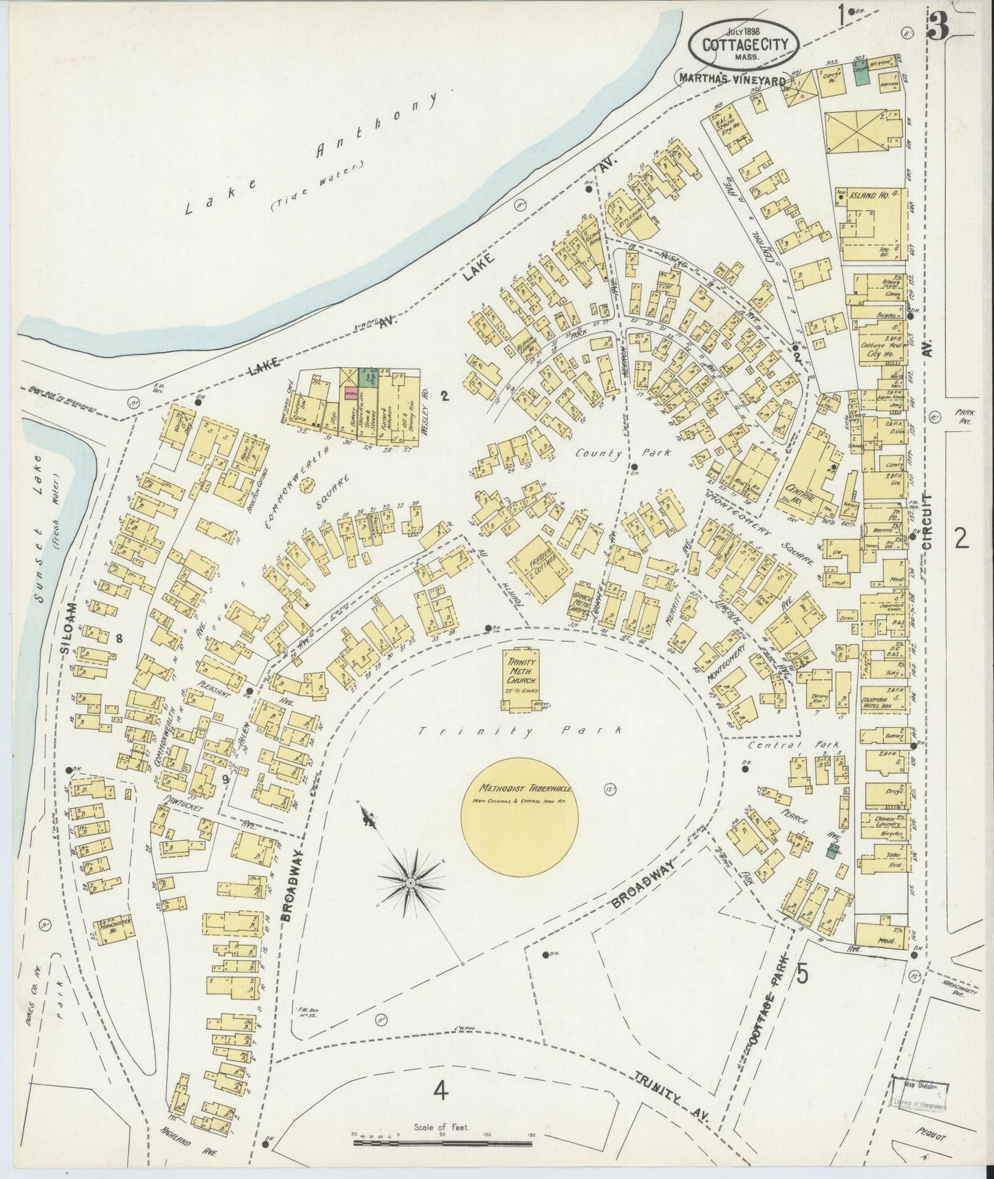 Sanborn Fire Insurance Map from Cottage City, Dukes County, Massachusetts (1898), Sheet #0003 - Historic Sanborn Fire Insurance Map Print, vintage old map wall art, antique decor, genealogy gift, Massachusetts Massachusetts map
