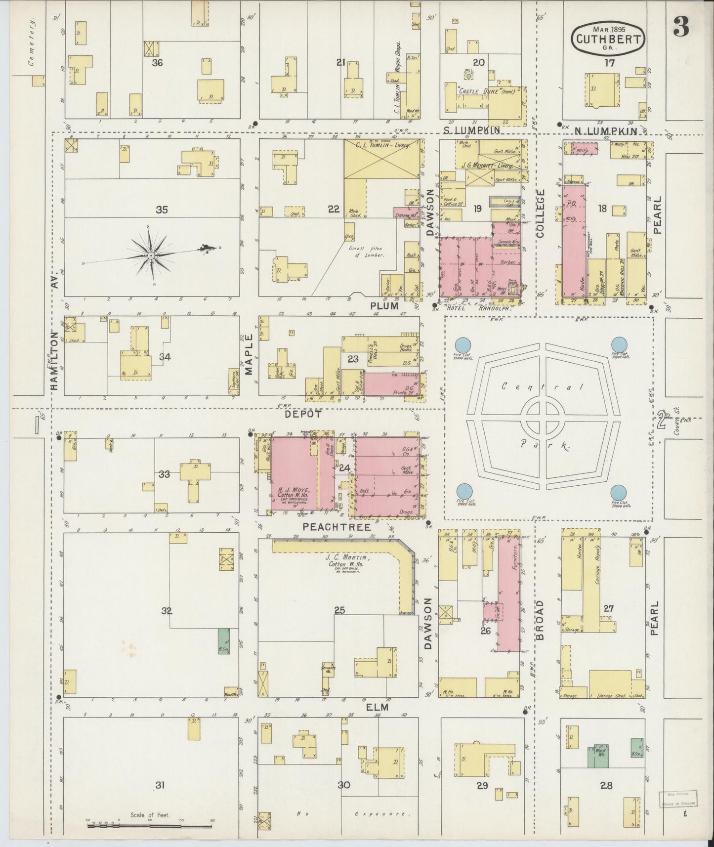 Sanborn Fire Insurance Map from Cuthbert, Randolph County, Georgia (1895), Sheet #0003 - Complete Map Set gallery image, historic Sanborn map, vintage wall art, Georgia Georgia