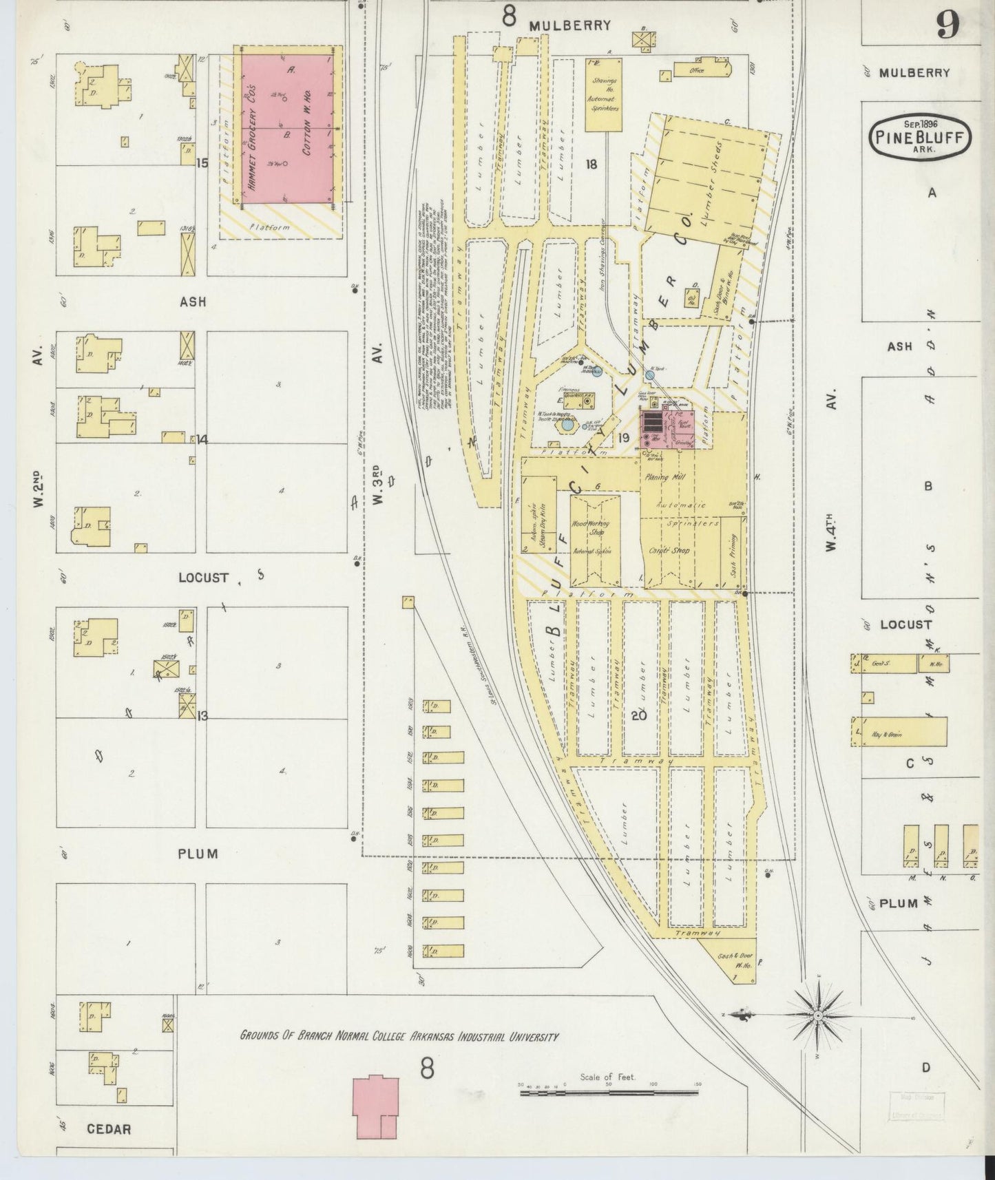 Sanborn Fire Insurance Map from Pine Bluff, Jefferson County, Arkansas (1896), Sheet #0009 - Historic Sanborn Fire Insurance Map Print, vintage old map wall art, antique decor, genealogy gift, Arkansas Arkansas map