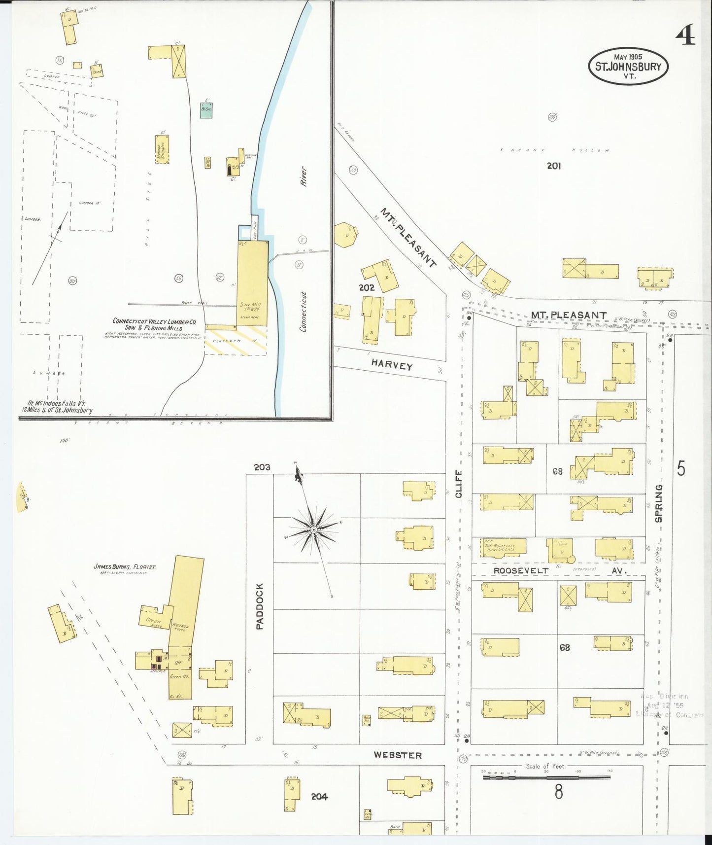 Sanborn Fire Insurance Map from Saint Johnsbury, Caledonia County, Vermont (1905), Sheet #0004 - Historic Sanborn Fire Insurance Map Print, vintage old map wall art, antique decor, genealogy gift, Vermont Vermont map