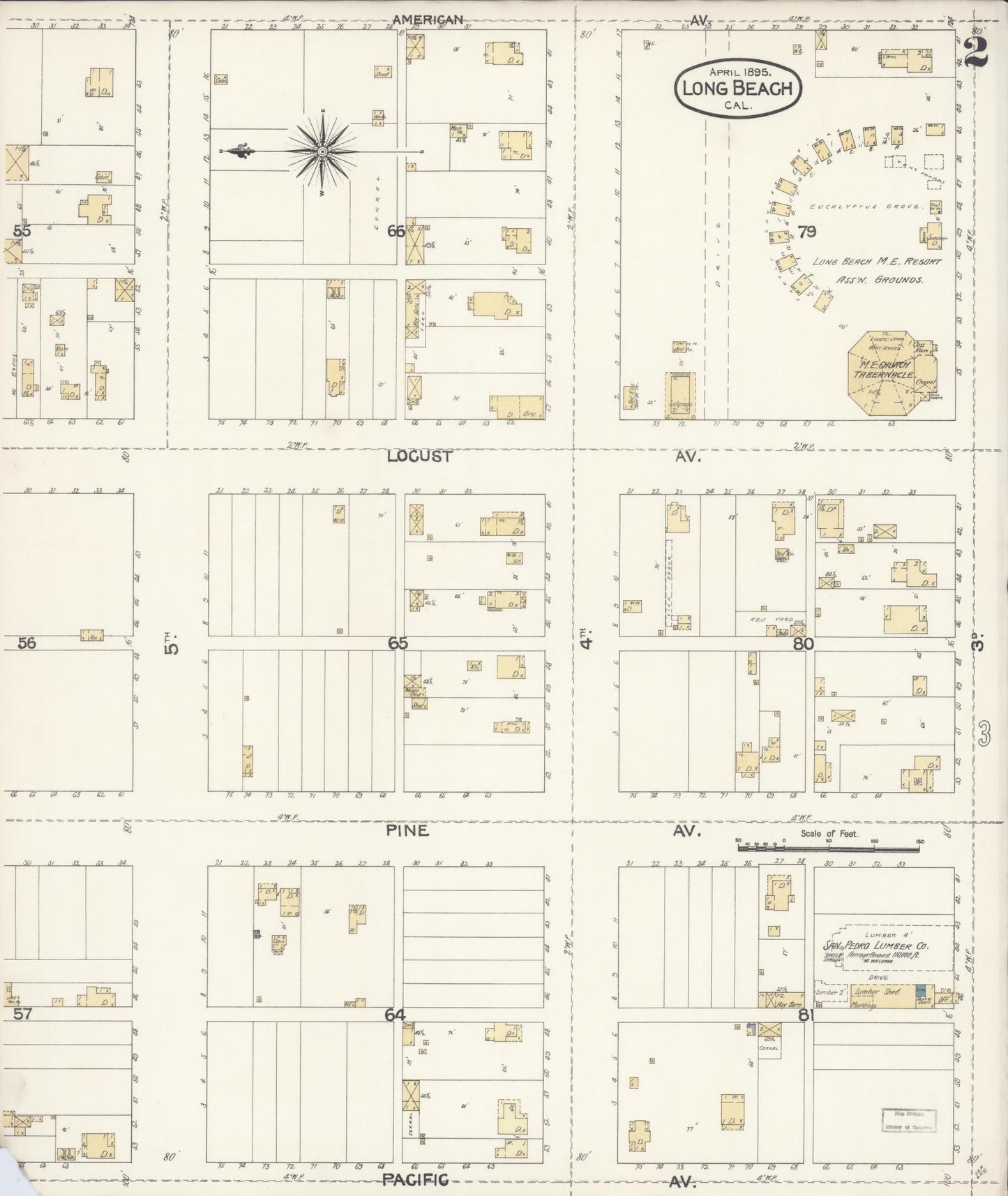 Sanborn Fire Insurance Map from Long Beach, Los Angeles County, California (1895), Sheet #0002 - Historic Sanborn Fire Insurance Map Print, vintage old map wall art, antique decor, genealogy gift, California California map