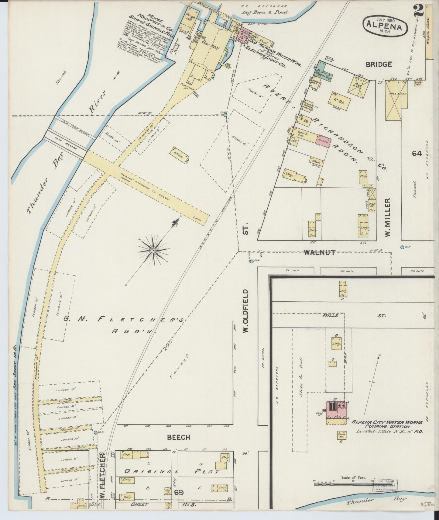 Sanborn Fire Insurance Map from Alpena, Alpena County, Michigan (1890), Sheet #0002 - Historic Sanborn Fire Insurance Map Print, vintage old map wall art, antique decor, genealogy gift, Michigan Michigan map