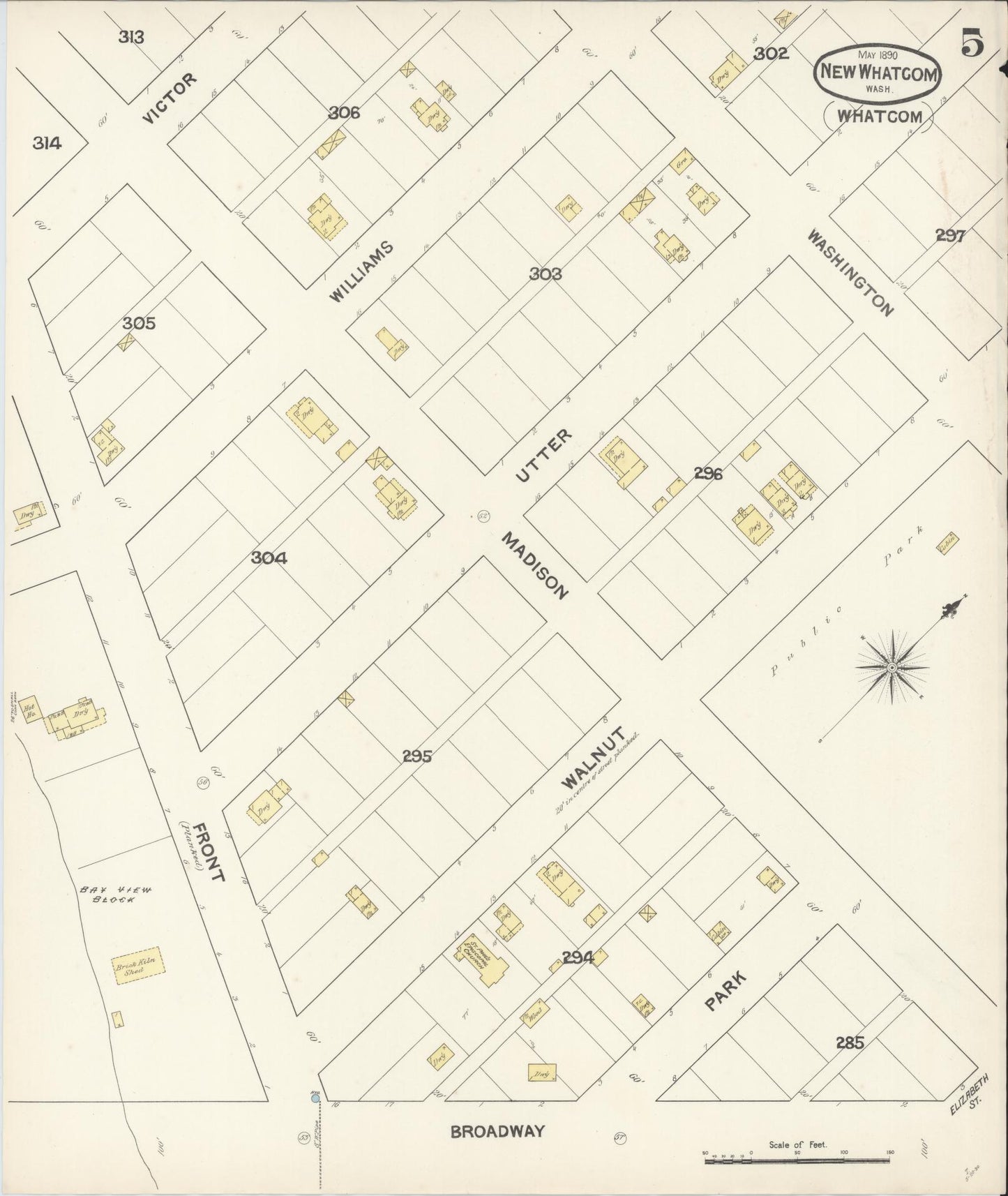 Sanborn Fire Insurance Map from New Whatcom, Whatcom County, Washington (1890), Sheet #0005 - Historic Sanborn Fire Insurance Map Print, vintage old map wall art, antique decor, genealogy gift, Washington Washington map