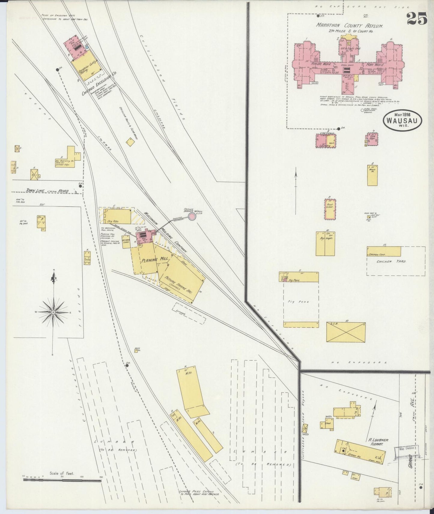Sanborn Fire Insurance Map from Wausau, Marathon County, Wisconsin (1898), Sheet #0025 - Historic Sanborn Fire Insurance Map Print, vintage old map wall art, antique decor, genealogy gift, Wisconsin Wisconsin map