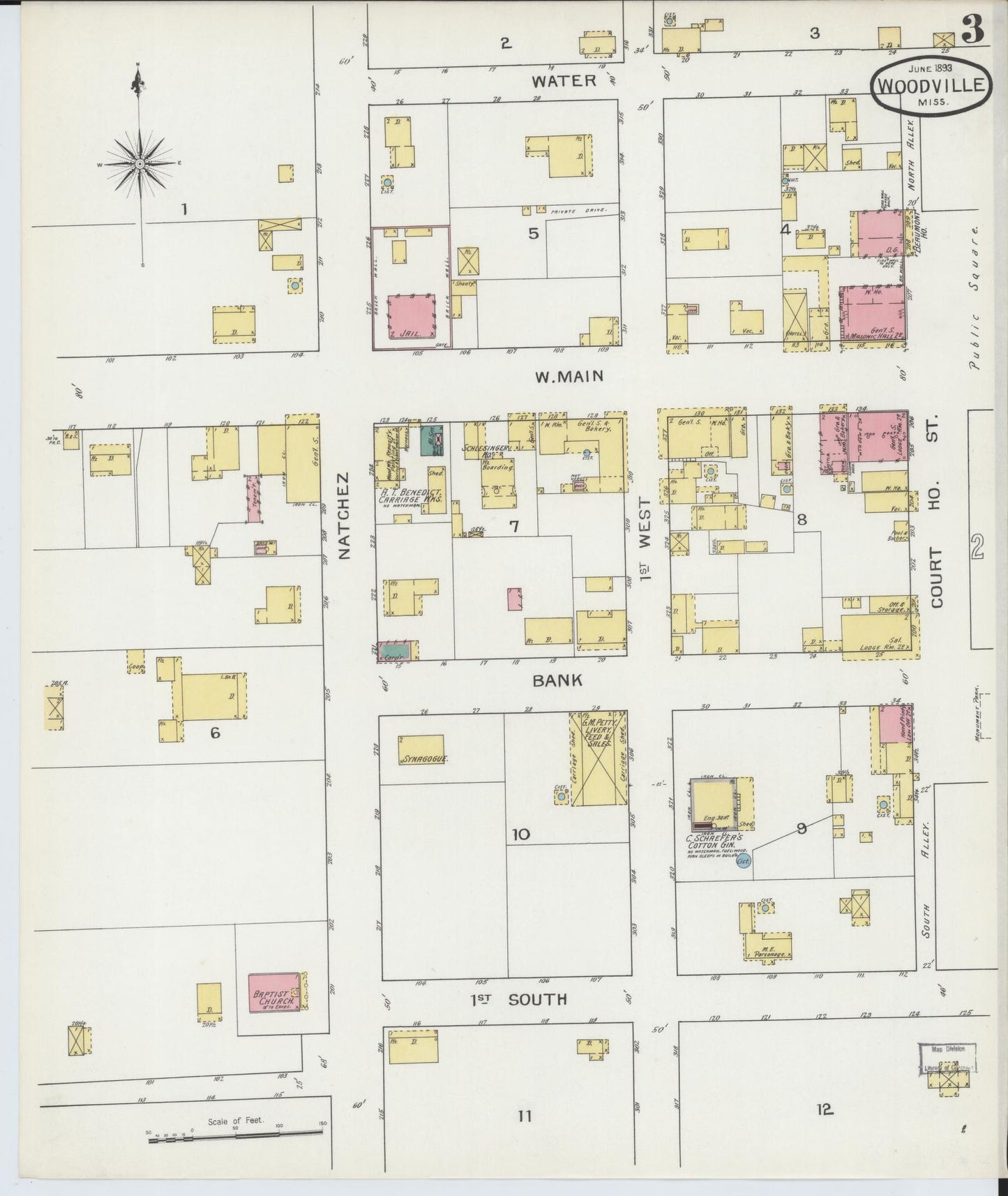Sanborn Fire Insurance Map from Woodville, Wilkinson County, Mississippi (1893), Sheet #0003 - Historic Sanborn Fire Insurance Map Print, vintage old map wall art, antique decor, genealogy gift, Mississippi Mississippi map