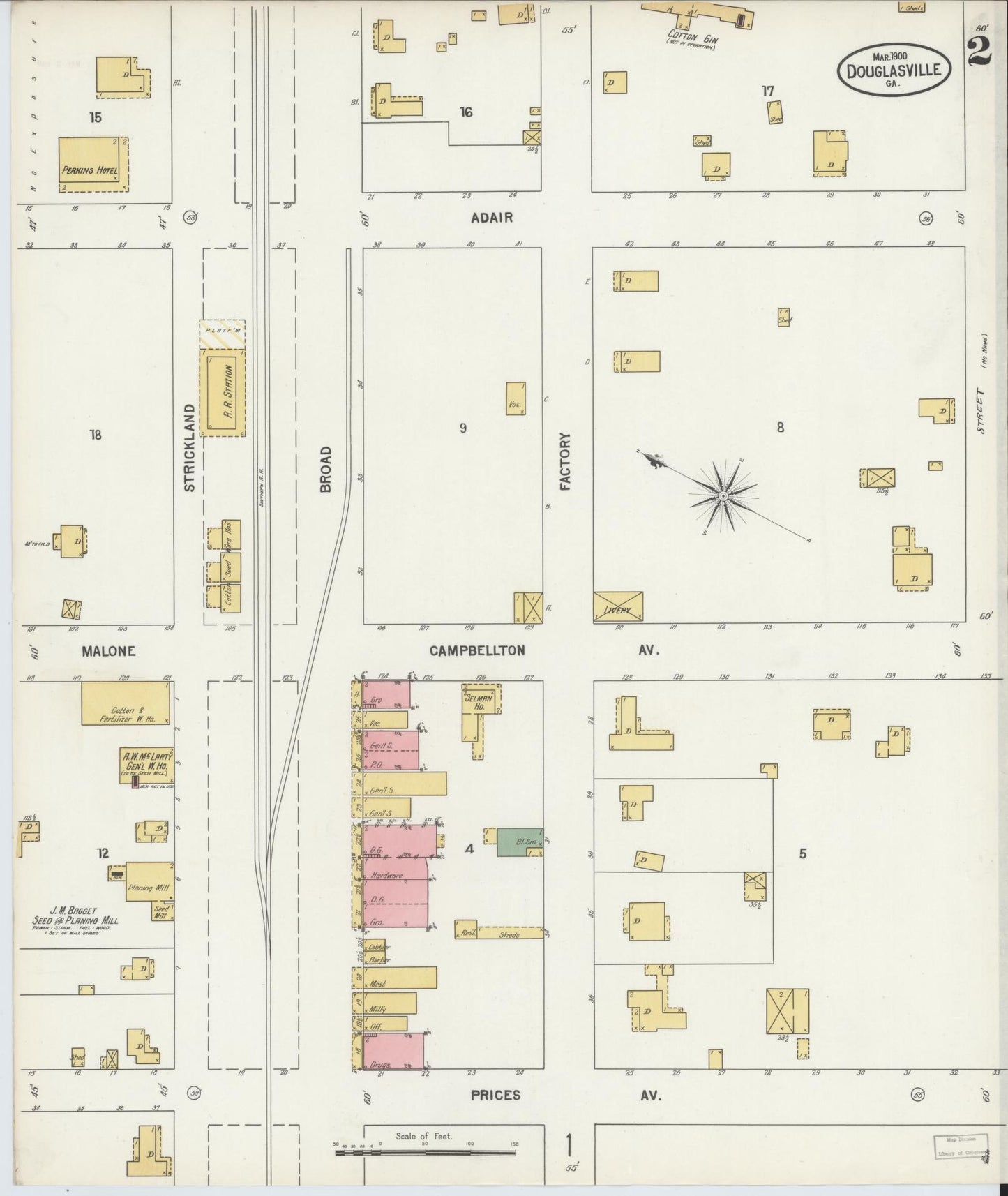 Sanborn Fire Insurance Map from Douglasville, Douglas County, Georgia (1900), Sheet #0002 - Historic Sanborn Fire Insurance Map Print, vintage old map wall art, antique decor, genealogy gift, Georgia Georgia map