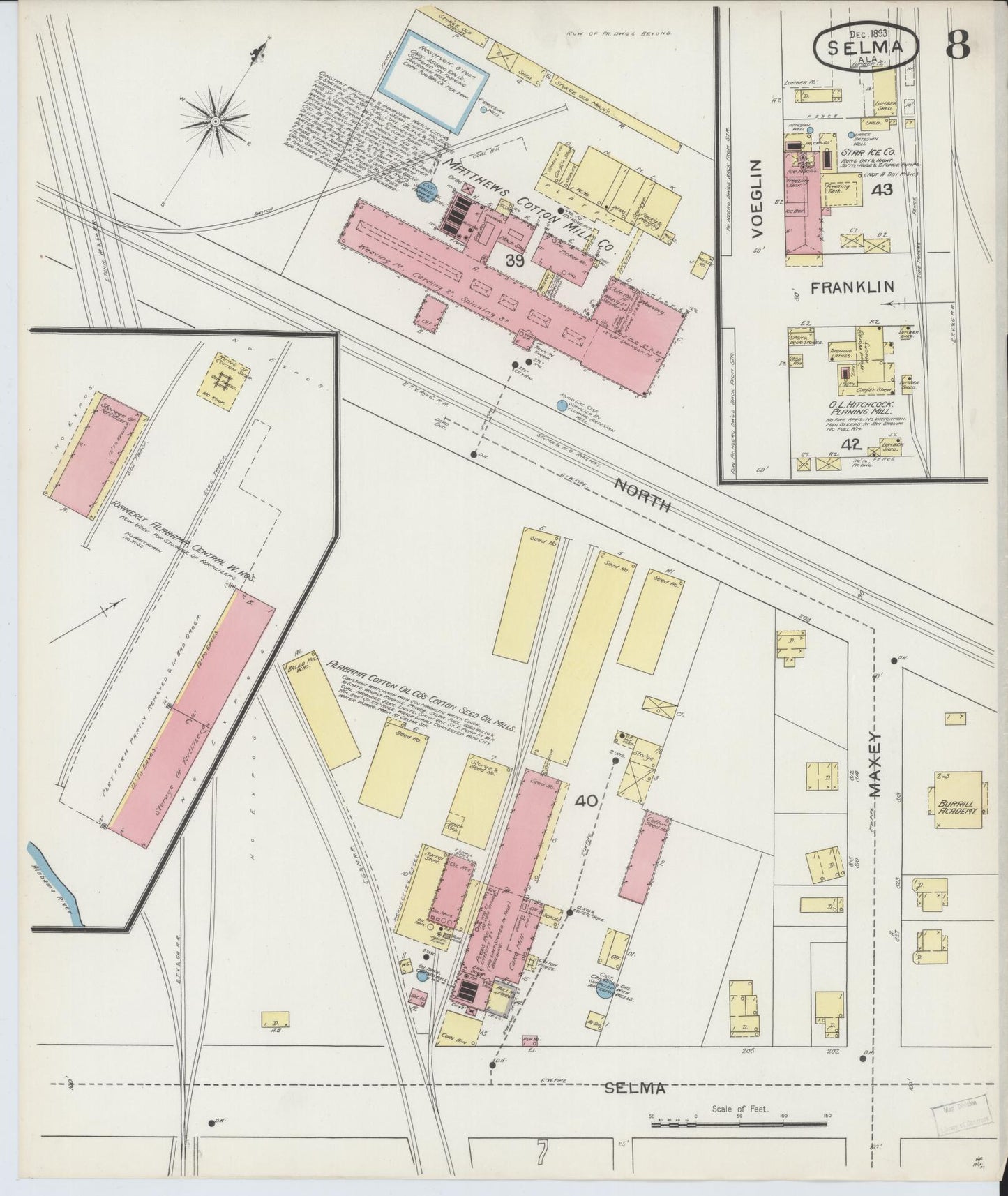 Sanborn Fire Insurance Map from Selma, Dallas County, Alabama (1893), Sheet #0008 - Historic Sanborn Fire Insurance Map Print, vintage old map wall art, antique decor, genealogy gift, Alabama Alabama map