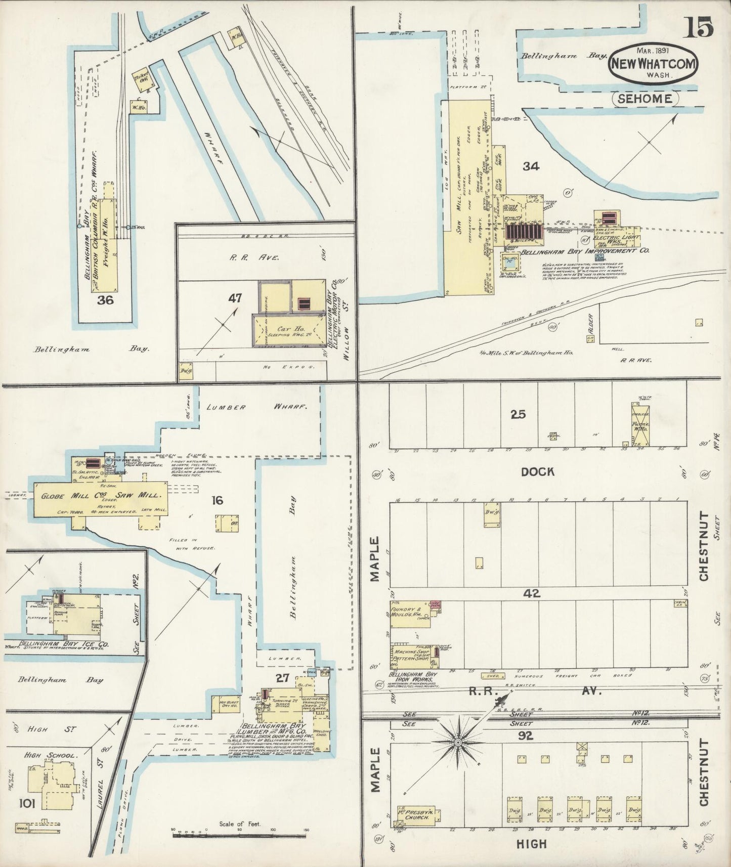 Sanborn Fire Insurance Map from New Whatcom, Whatcom County, Washington (1891), Sheet #0015 - Historic Sanborn Fire Insurance Map Print, vintage old map wall art, antique decor, genealogy gift, Washington Washington map