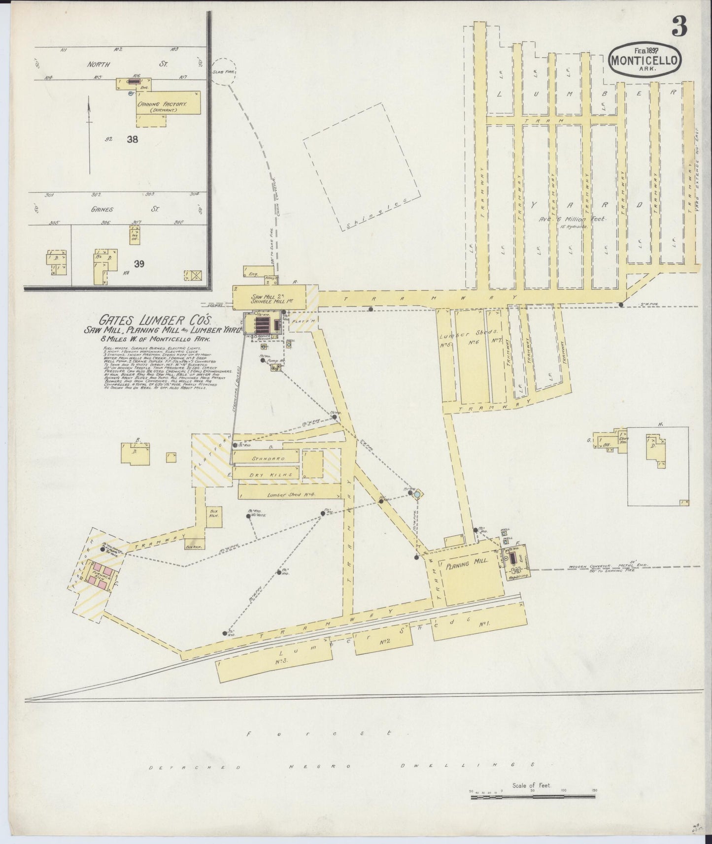 Sanborn Fire Insurance Map from Monticello, Drew County, Arkansas (1897), Sheet #0003 - Historic Sanborn Fire Insurance Map Print, vintage old map wall art, antique decor, genealogy gift, Arkansas Arkansas map