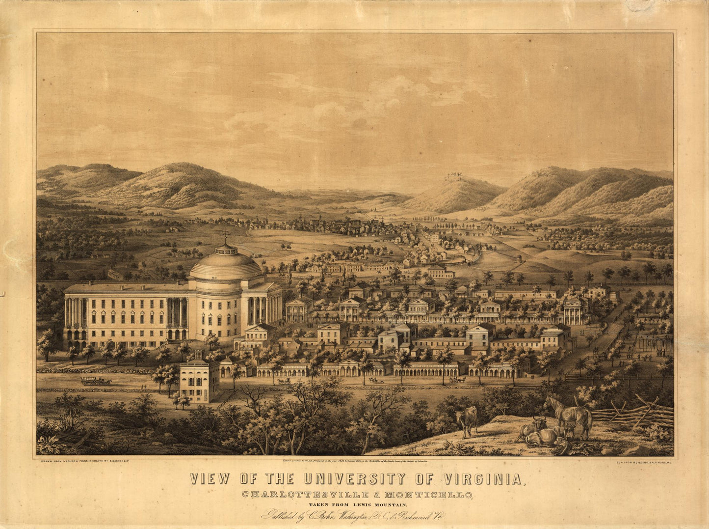 View of the University of Virginia, Charlottesville & Monticello, taken from Lewis Mountain (1856) – Historic Bird’s-Eye View Panorama Print