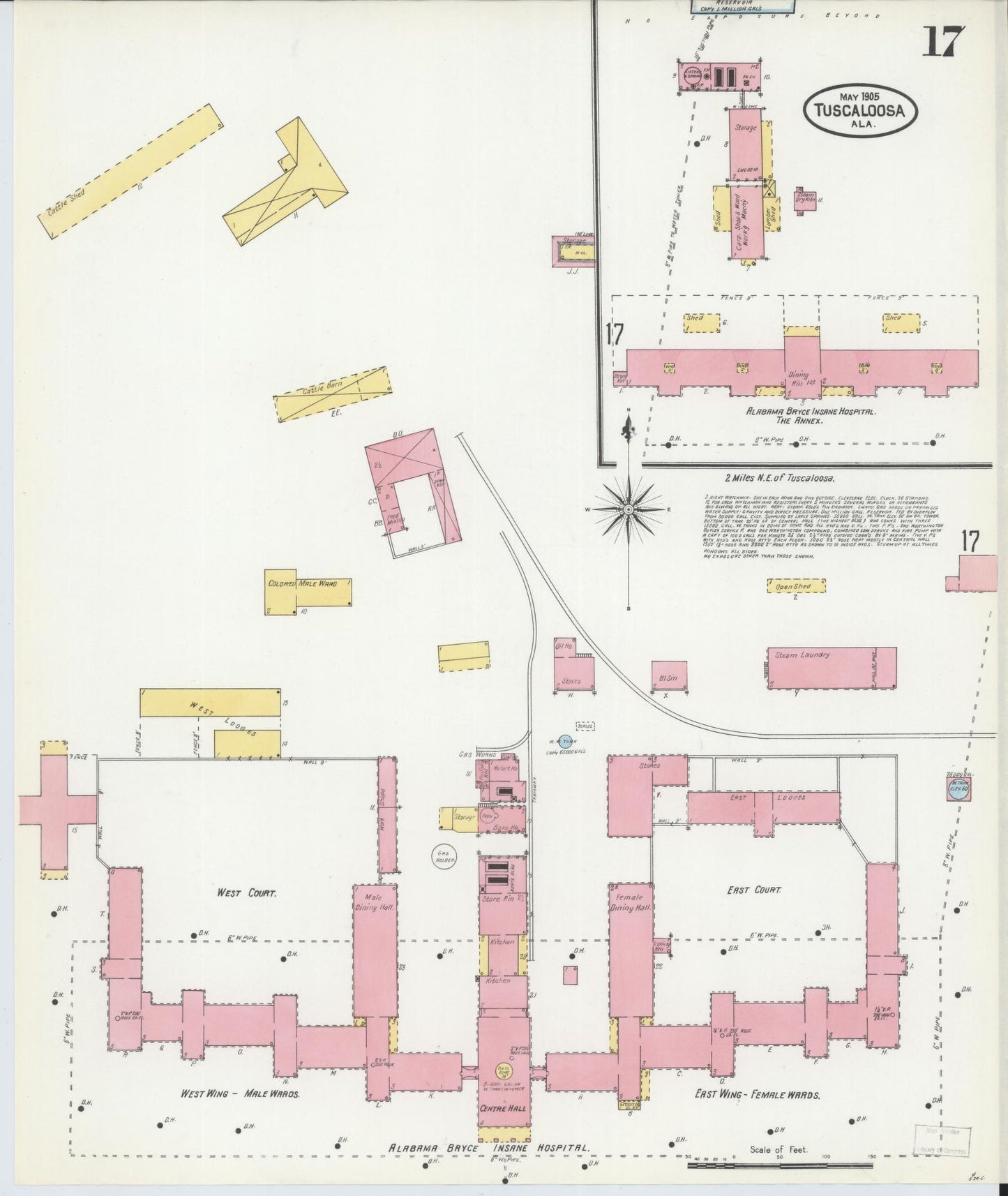 Sanborn Fire Insurance Map from Tuscaloosa, Tuscaloosa County, Alabama (1905), Sheet #0017 - Historic Sanborn Fire Insurance Map Print, vintage old map wall art, antique decor, genealogy gift, Alabama Alabama map