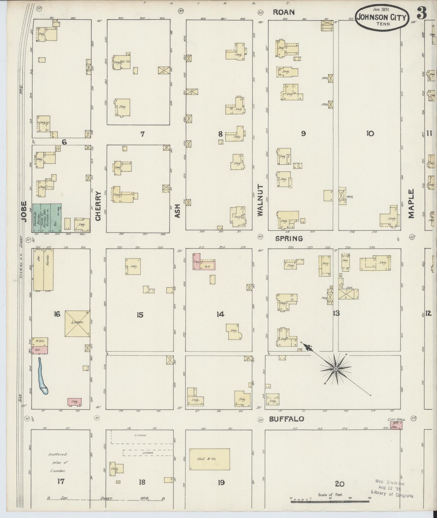 Sanborn Fire Insurance Map from Johnson City, Washington County, Tennessee (1891), Sheet #0003 - Historic Sanborn Fire Insurance Map Print, vintage old map wall art, antique decor, genealogy gift, Tennessee Tennessee map