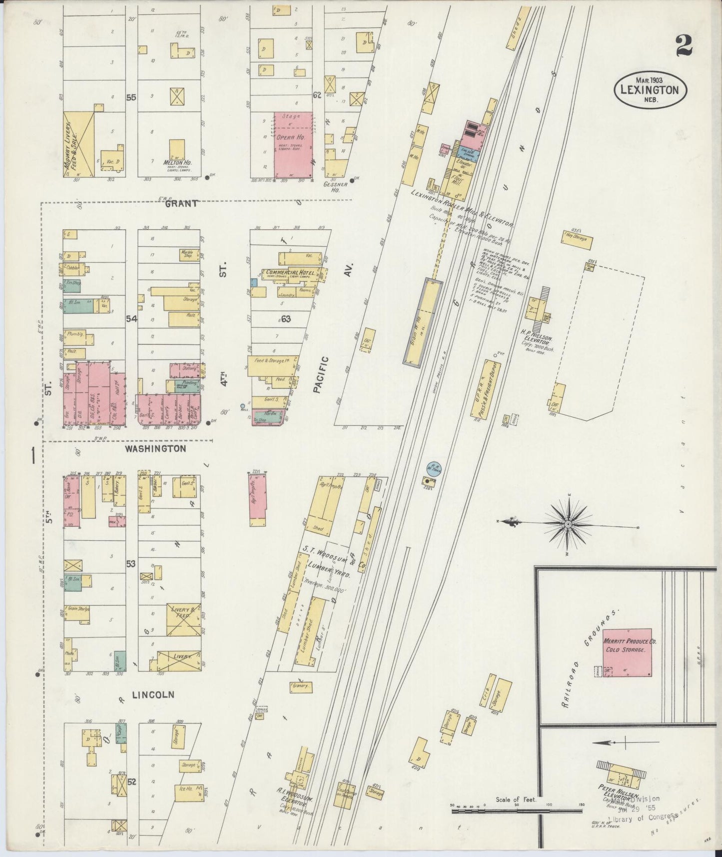Sanborn Fire Insurance Map from Lexington, Dawson County, Nebraska (1903), Sheet #0002 - Historic Sanborn Fire Insurance Map Print, vintage old map wall art, antique decor, genealogy gift, Nebraska Nebraska map