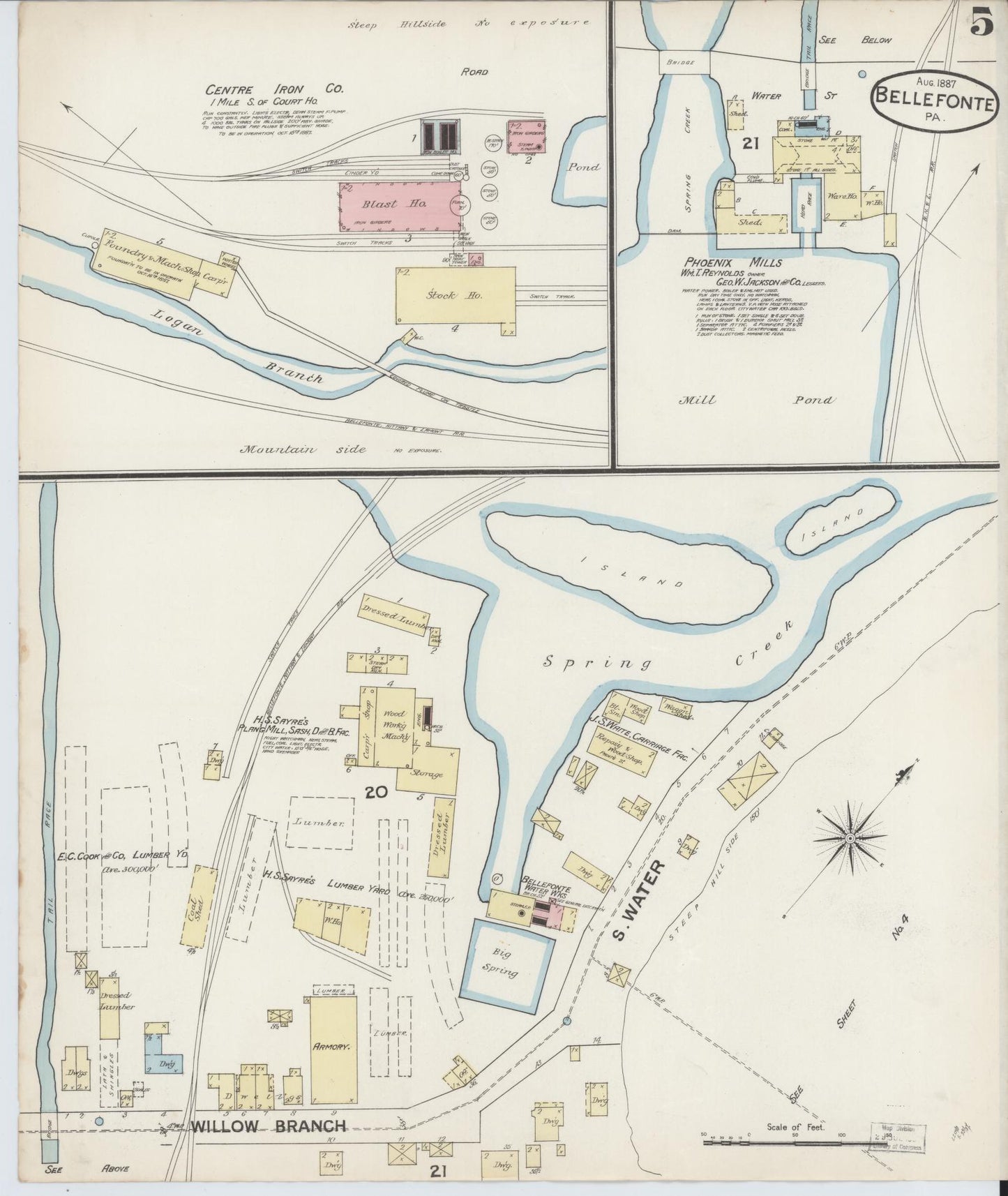Sanborn Fire Insurance Map from Bellefonte, Centre County, Pennsylvania (1887), Sheet #0005 - Historic Sanborn Fire Insurance Map Print, vintage old map wall art, antique decor, genealogy gift, Pennsylvania Pennsylvania map