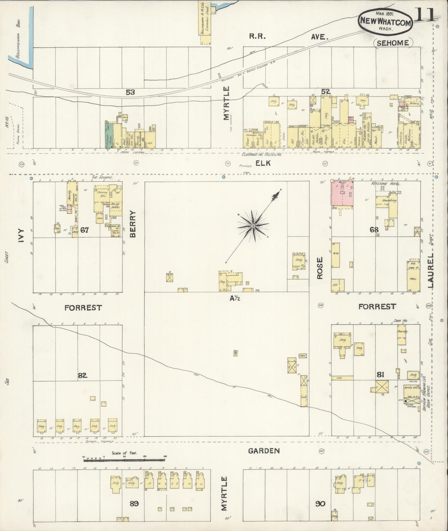 Sanborn Fire Insurance Map from New Whatcom, Whatcom County, Washington (1891), Sheet #0011 - Historic Sanborn Fire Insurance Map Print, vintage old map wall art, antique decor, genealogy gift, Washington Washington map