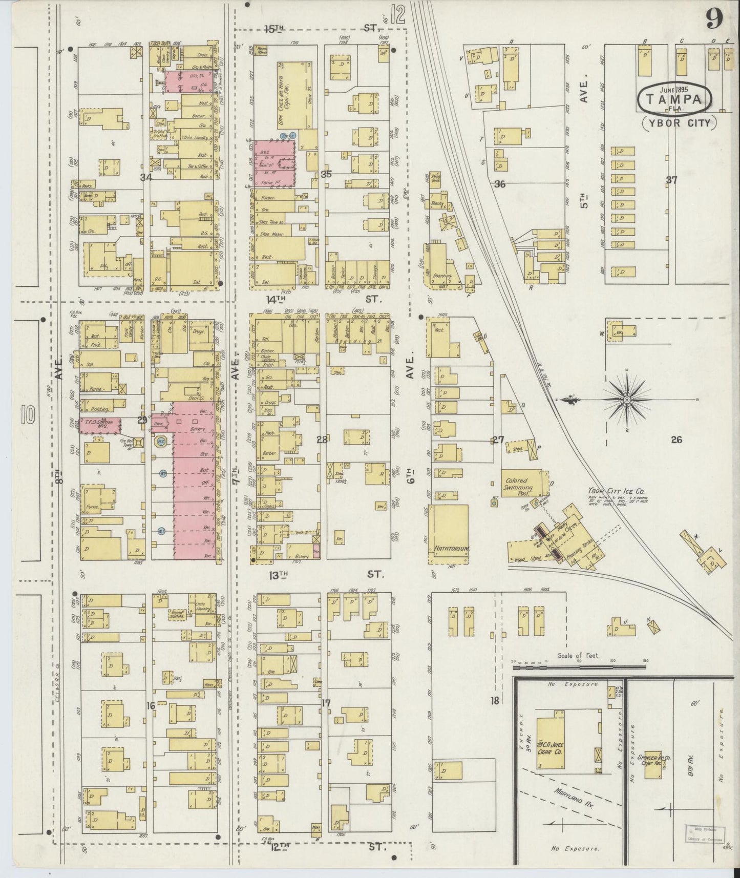 Sanborn Fire Insurance Map from Tampa, Hillsborough County, Florida (1895), Sheet #0013 - Historic Sanborn Fire Insurance Map Print, vintage old map wall art, antique decor, genealogy gift, Florida Florida map