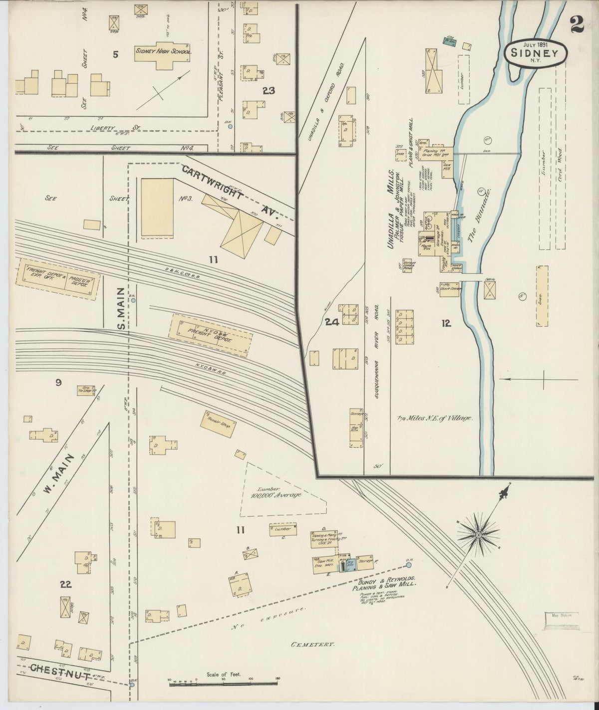 Sanborn Fire Insurance Map from Sidney, Delaware County, New York (1891), Sheet #0002 - Historic Sanborn Fire Insurance Map Print, vintage old map wall art, antique decor, genealogy gift, Sidney Delaware map