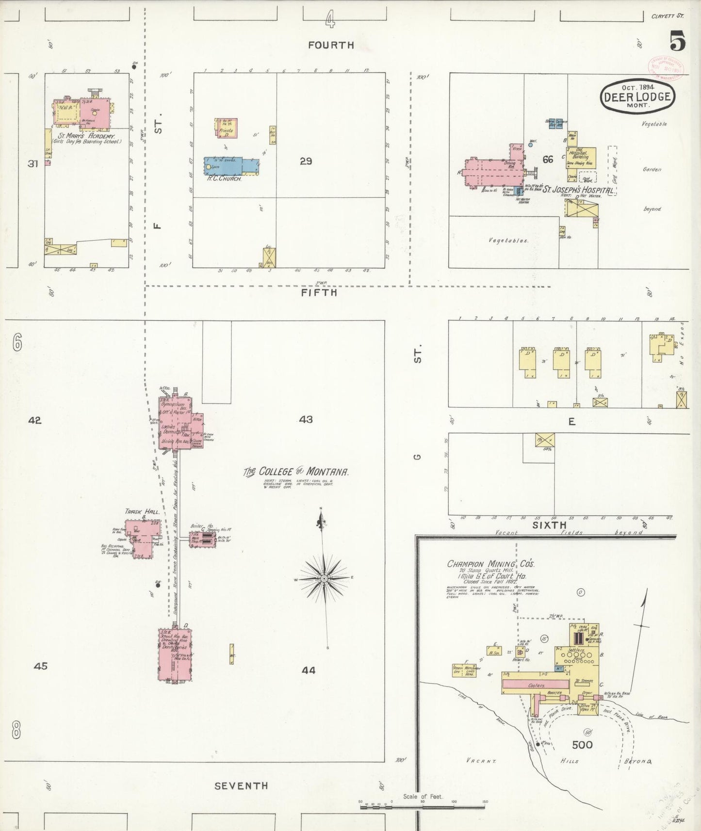 Sanborn Fire Insurance Map from Deer Lodge, Powell County, Montana (1894), Sheet #0005 - Historic Sanborn Fire Insurance Map Print, vintage old map wall art, antique decor, genealogy gift, Montana Montana map