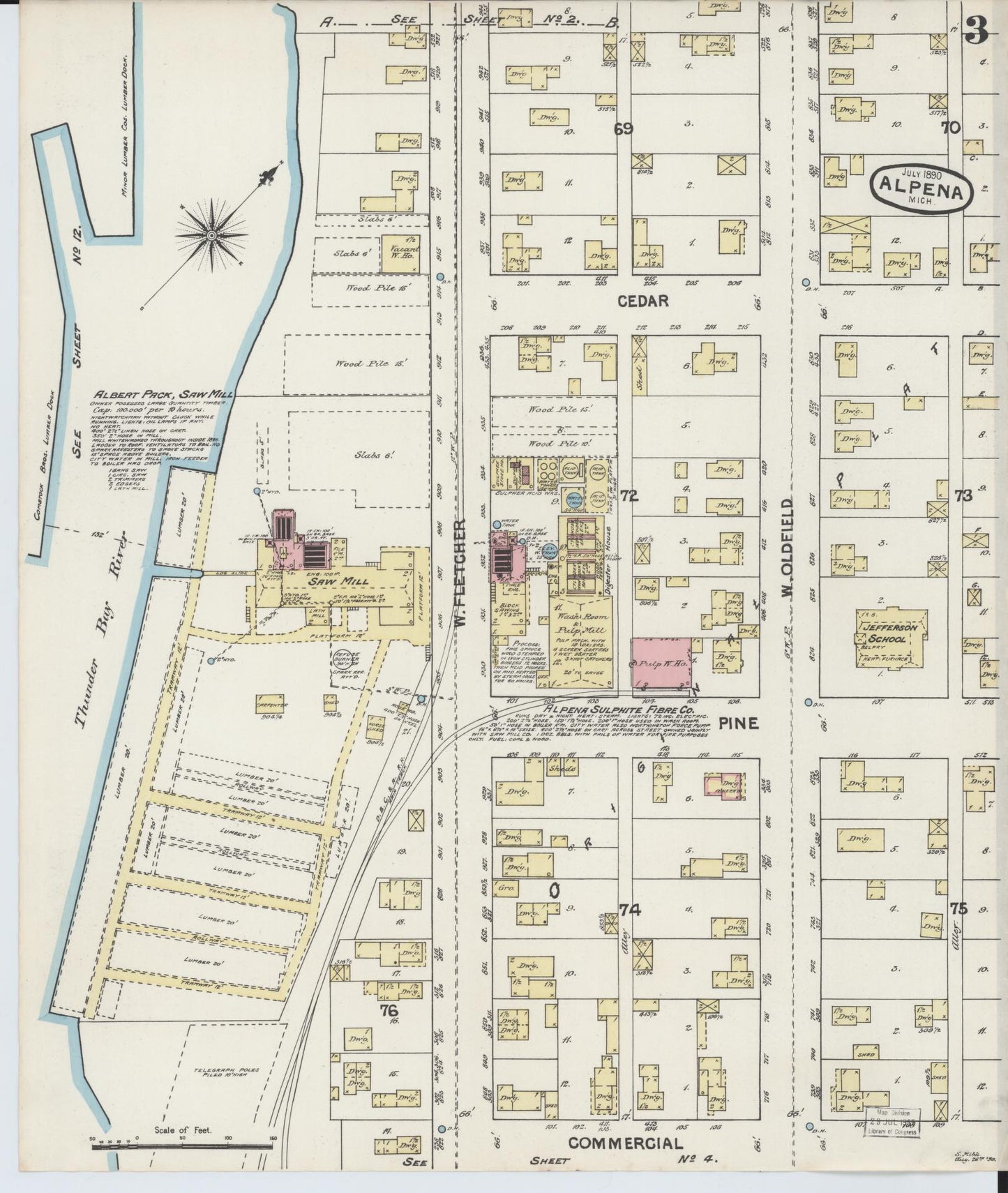 Sanborn Fire Insurance Map from Alpena, Alpena County, Michigan (1890), Sheet #0003 - Historic Sanborn Fire Insurance Map Print, vintage old map wall art, antique decor, genealogy gift, Michigan Michigan map