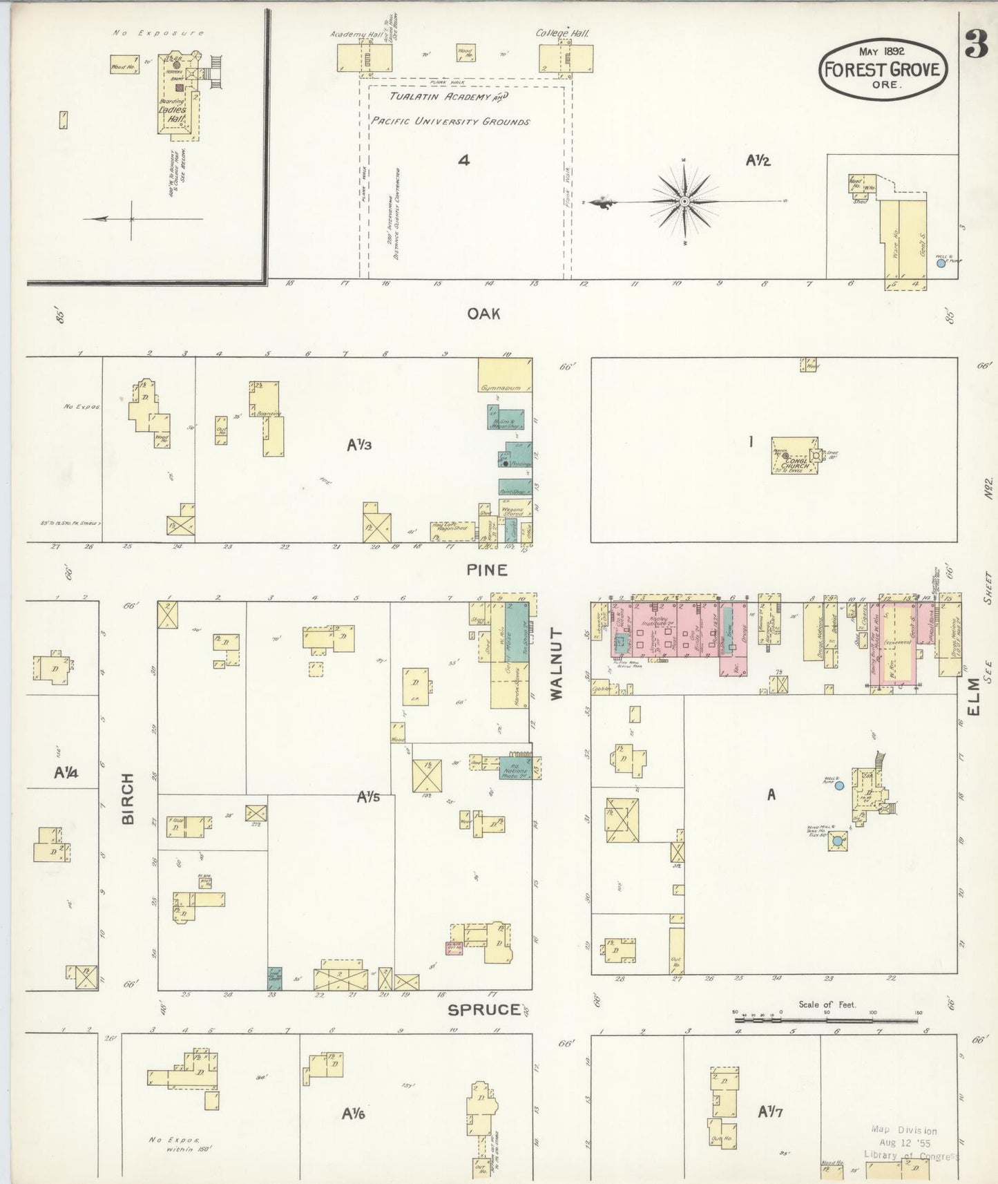 Sanborn Fire Insurance Map from Forest Grove, Washington County, Oregon (1892), Sheet #0003 - Historic Sanborn Fire Insurance Map Print, vintage old map wall art, antique decor, genealogy gift, Oregon Oregon map