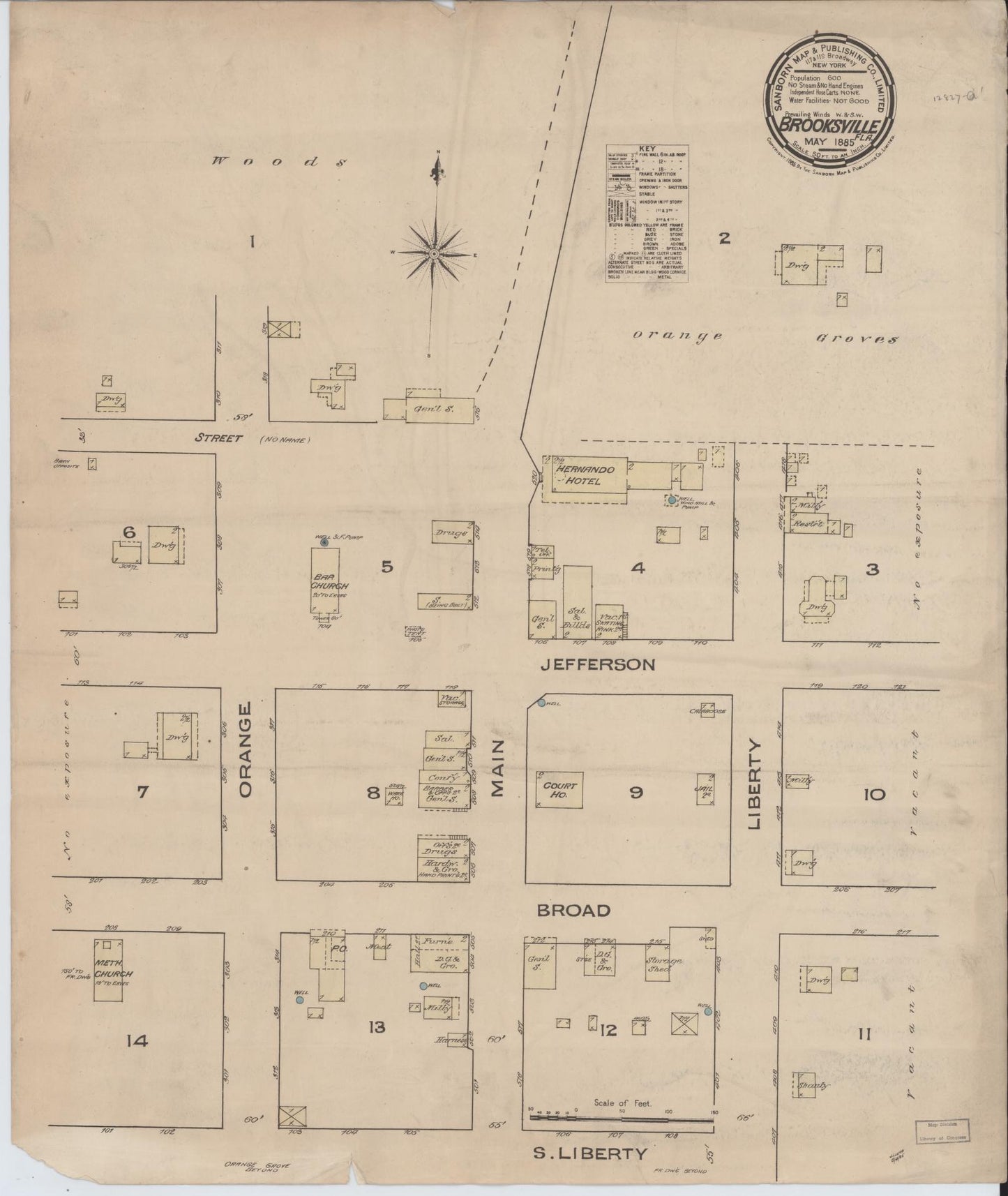 Sanborn Fire Insurance Map from Brooksville, Hernando County, Florida (1885), Sheet #0001 - Historic Sanborn Fire Insurance Map Print, vintage old map wall art, antique decor, genealogy gift, Florida Florida map