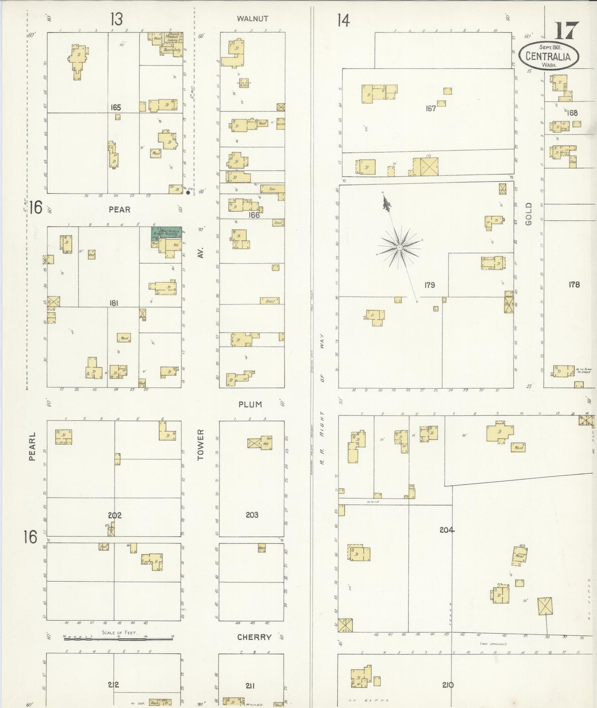 Sanborn Fire Insurance Map from Centralia, Lewis County, Washington (1901), Sheet #0017 - Historic Sanborn Fire Insurance Map Print, vintage old map wall art, antique decor, genealogy gift, Washington Washington map