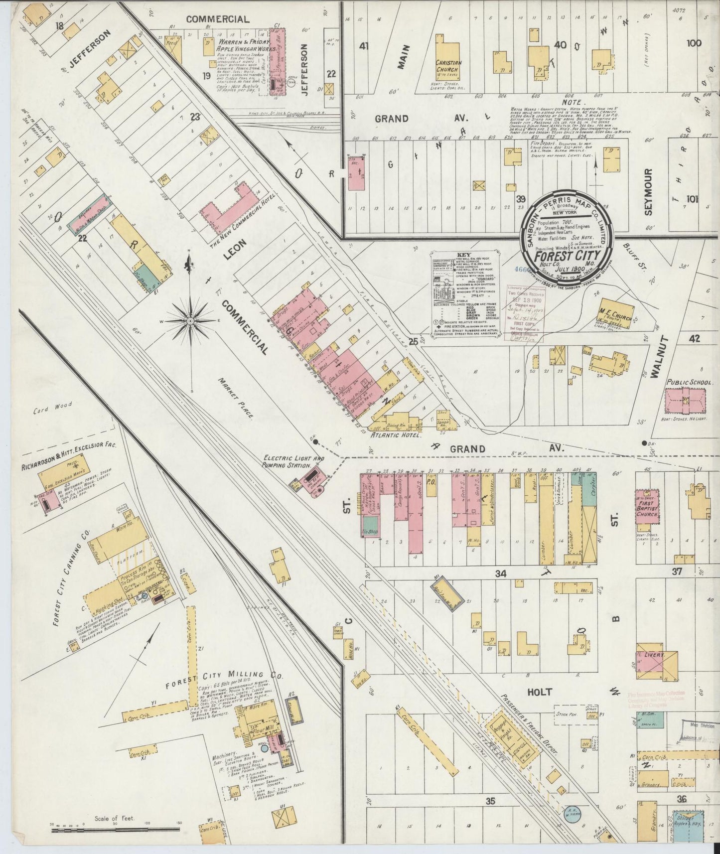 Sanborn Fire Insurance Map from Forest City, Holt County, Missouri (1900), Sheet #0001 - Historic Sanborn Fire Insurance Map Print, vintage old map wall art, antique decor, genealogy gift, Missouri Missouri map