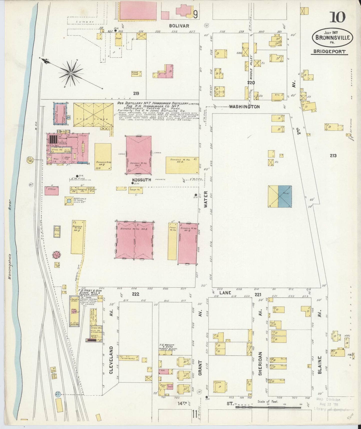 Sanborn Fire Insurance Map from Brownsville, Fayette County, Pennsylvania (1907), Sheet #0010 - Historic Sanborn Fire Insurance Map Print, vintage old map wall art, antique decor, genealogy gift, Pennsylvania Pennsylvania map