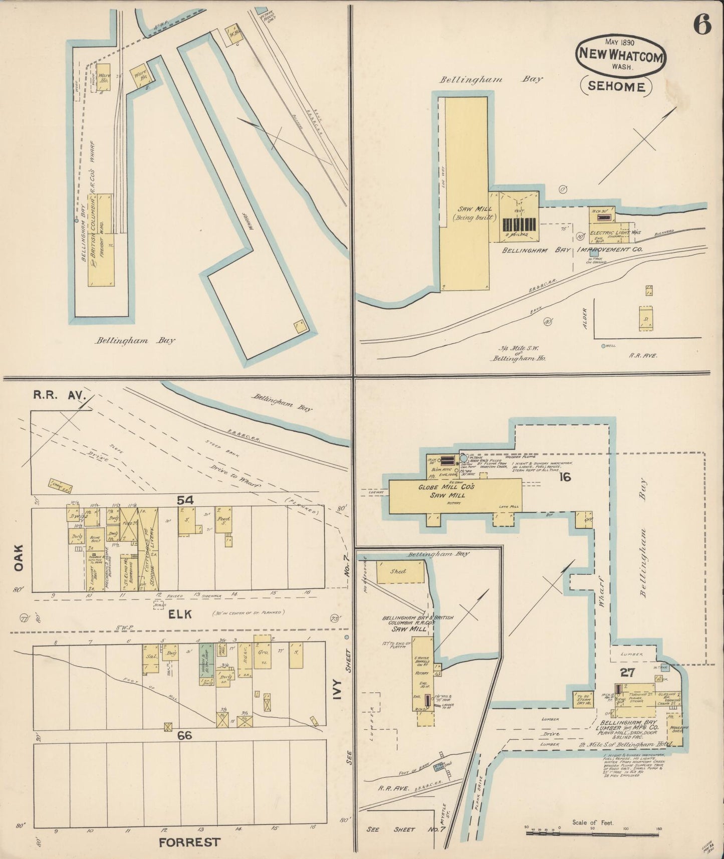 Sanborn Fire Insurance Map from New Whatcom, Whatcom County, Washington (1890), Sheet #0006 - Historic Sanborn Fire Insurance Map Print, vintage old map wall art, antique decor, genealogy gift, Washington Washington map