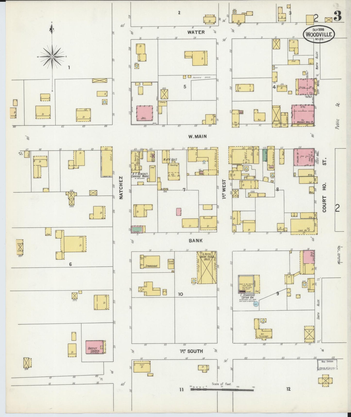 Sanborn Fire Insurance Map from Woodville, Wilkinson County, Mississippi (1899), Sheet #0003 - Historic Sanborn Fire Insurance Map Print, vintage old map wall art, antique decor, genealogy gift, Mississippi Mississippi map