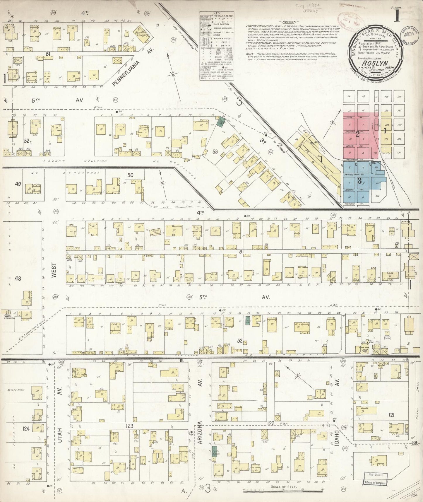 Sanborn Fire Insurance Map from Roslyn, Kittitas County, Washington (1899), Sheet #0001 - Historic Sanborn Fire Insurance Map Print, vintage old map wall art, antique decor, genealogy gift, Washington Washington map