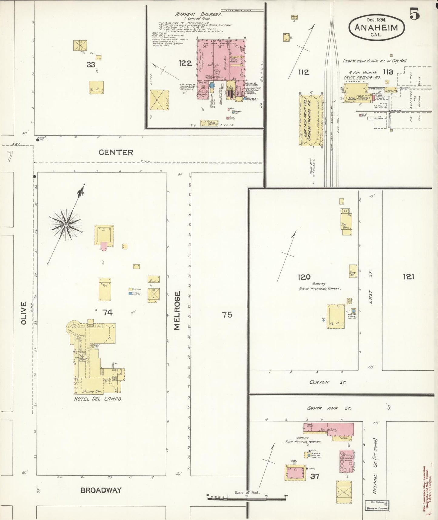 Sanborn Fire Insurance Map from Anaheim, Orange County, California (1894), Sheet #0005 - Historic Sanborn Fire Insurance Map Print, vintage old map wall art, antique decor, genealogy gift, California California map