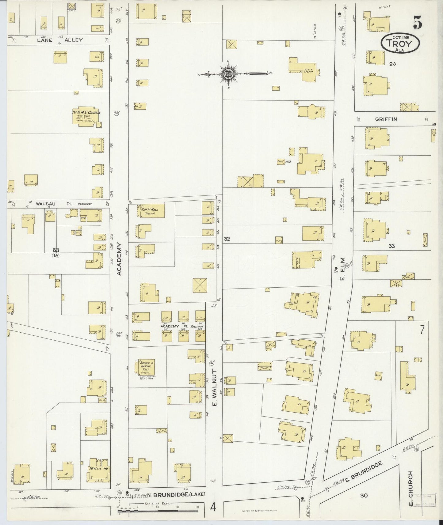 Sanborn Fire Insurance Map from Troy, Pike County, Alabama (1916), Sheet #0005 - Historic Sanborn Fire Insurance Map Print, vintage old map wall art, antique decor, genealogy gift, Alabama Alabama map
