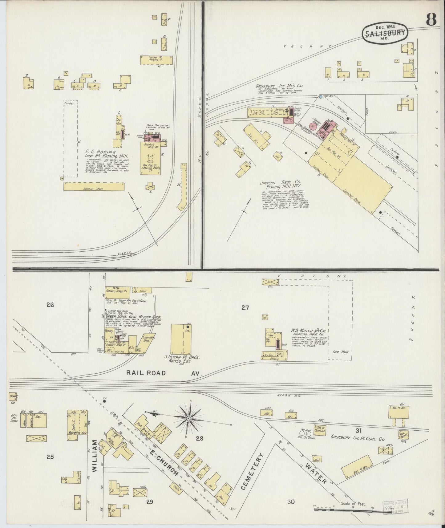 Sanborn Fire Insurance Map from Salisbury, Wicomico County, Maryland (1894), Sheet #0008 - Historic Sanborn Fire Insurance Map Print, vintage old map wall art, antique decor, genealogy gift, Maryland Maryland map