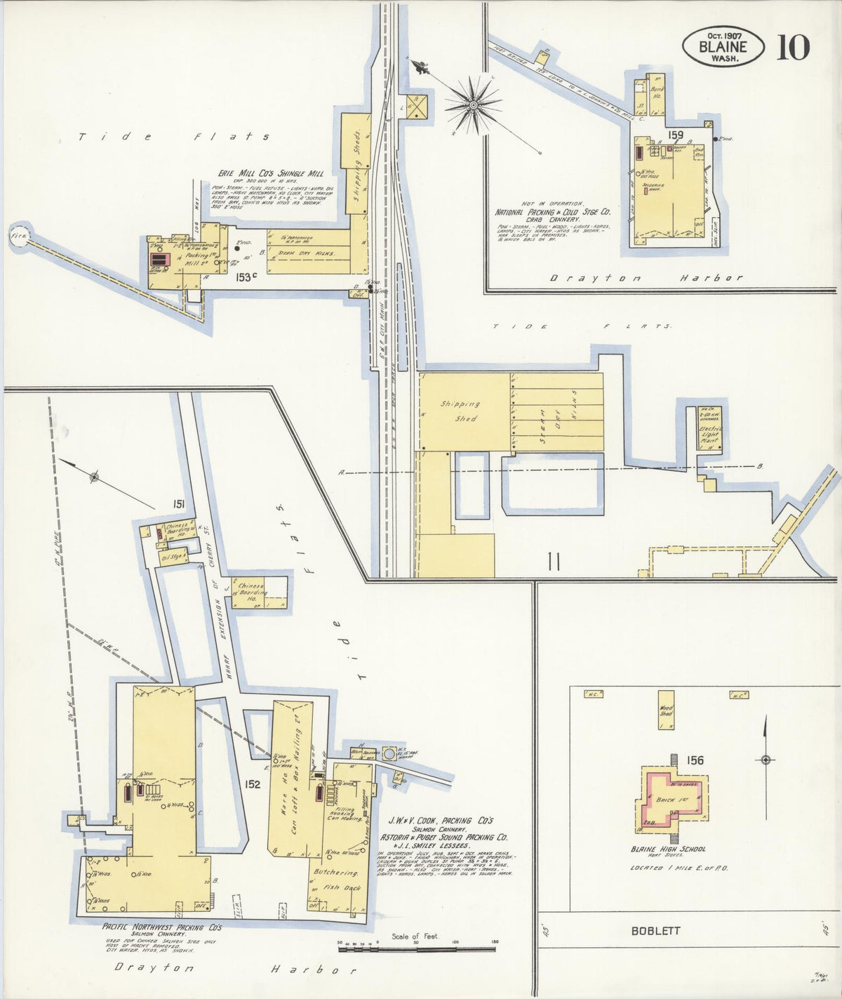Sanborn Fire Insurance Map from Blaine, Whatcom County, Washington (1907), Sheet #0010 - Historic Sanborn Fire Insurance Map Print, vintage old map wall art, antique decor, genealogy gift, Washington Washington map