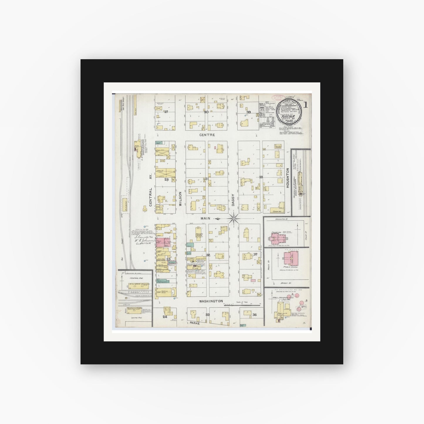 Old map wall art mockup — black gallery frame with white mat — Sanborn Fire Insurance Map from Tuscola, Douglas County, Illinois (1892) - Complete Map Set