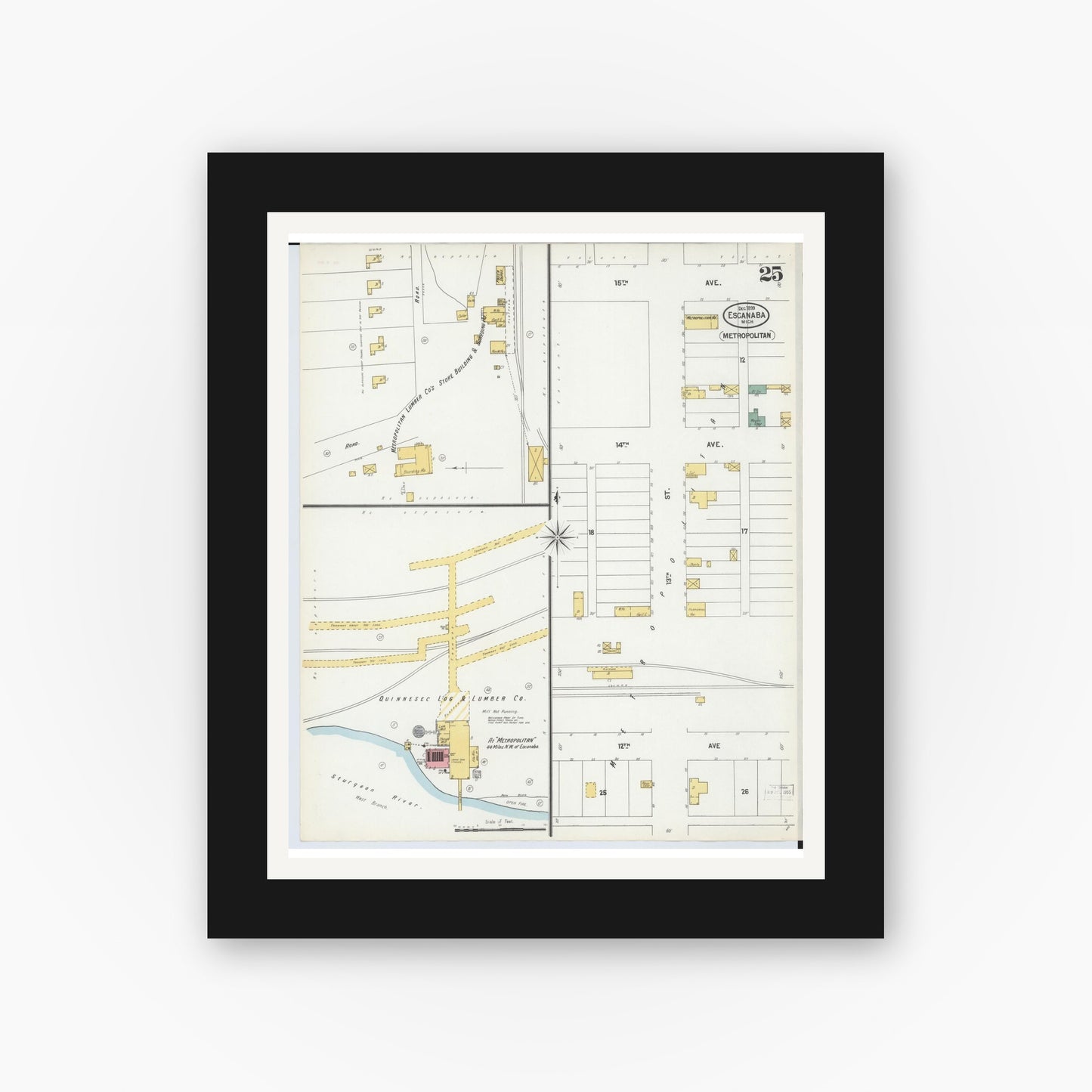 Old map wall art mockup — black gallery frame with white mat — Sanborn Fire Insurance Map from Escanaba, Delta County, Michigan (1899), Sheet #0025