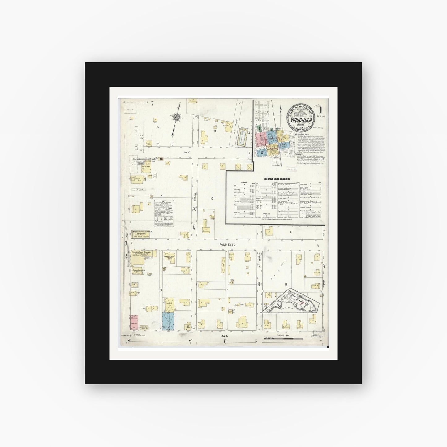 Old map wall art mockup — black gallery frame with white mat — Sanborn Fire Insurance Map from Wauchula, Hardee County, Florida (1914), Sheet #0001