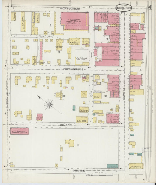 Sanborn Fire Insurance Map from Henderson, Vance County, North Carolina (1893), Sheet #0004 - Historic Sanborn Fire Insurance Map Print, vintage old map wall art, antique decor, genealogy gift, North Carolina North Carolina map