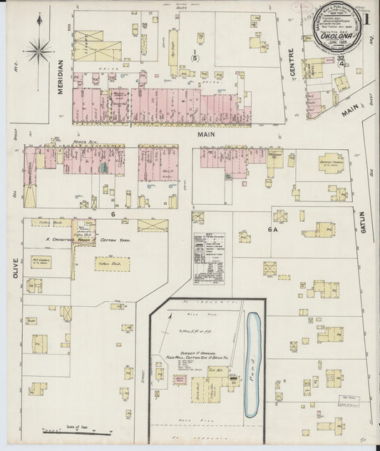 Sanborn Fire Insurance Map from Okolona, Chickasaw County, Mississippi (1889), Sheet #0001 - Complete Map Set gallery image, historic Sanborn map, vintage wall art, Mississippi Mississippi