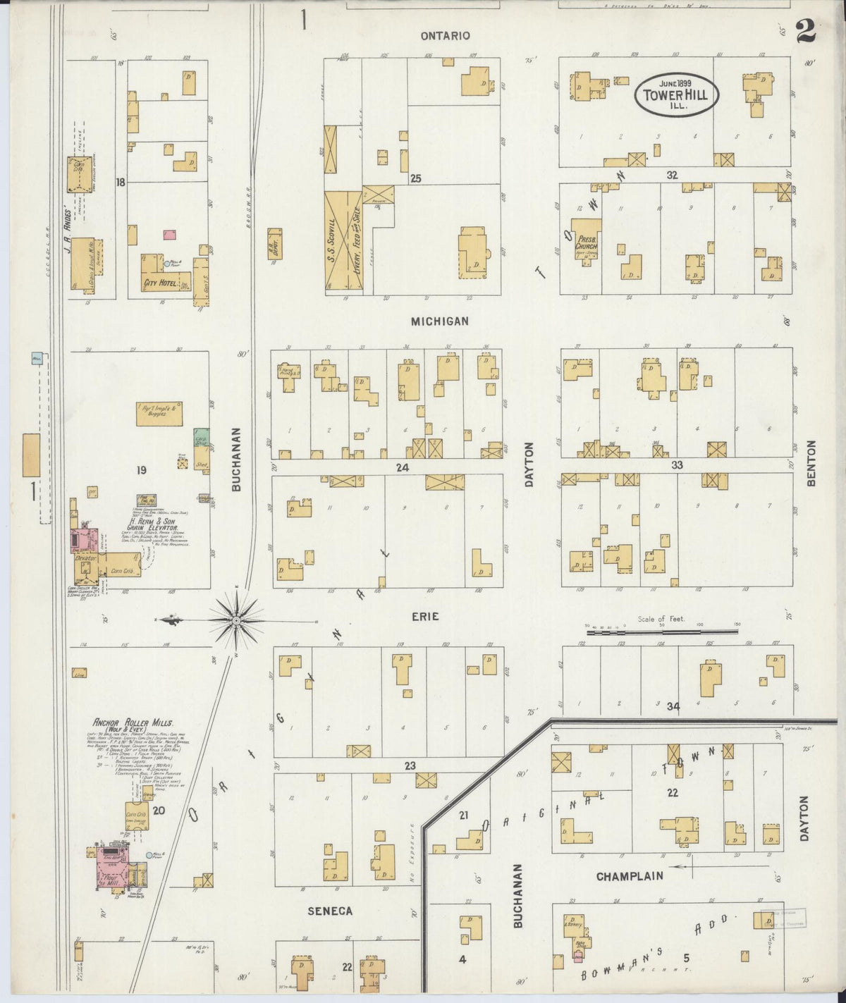 Sanborn Fire Insurance Map from Tower Hill, Shelby County, Illinois (1899), Sheet #0002 - Complete Map Set gallery image, historic Sanborn map, vintage wall art, Illinois Illinois