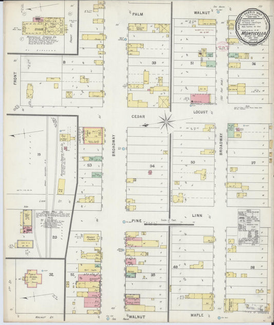 Sanborn Fire Insurance Map from Monticello, Wright County, Minnesota (1895), Sheet #0001 - Historic Sanborn Fire Insurance Map Print, vintage old map wall art, antique decor, genealogy gift, Minnesota Minnesota map
