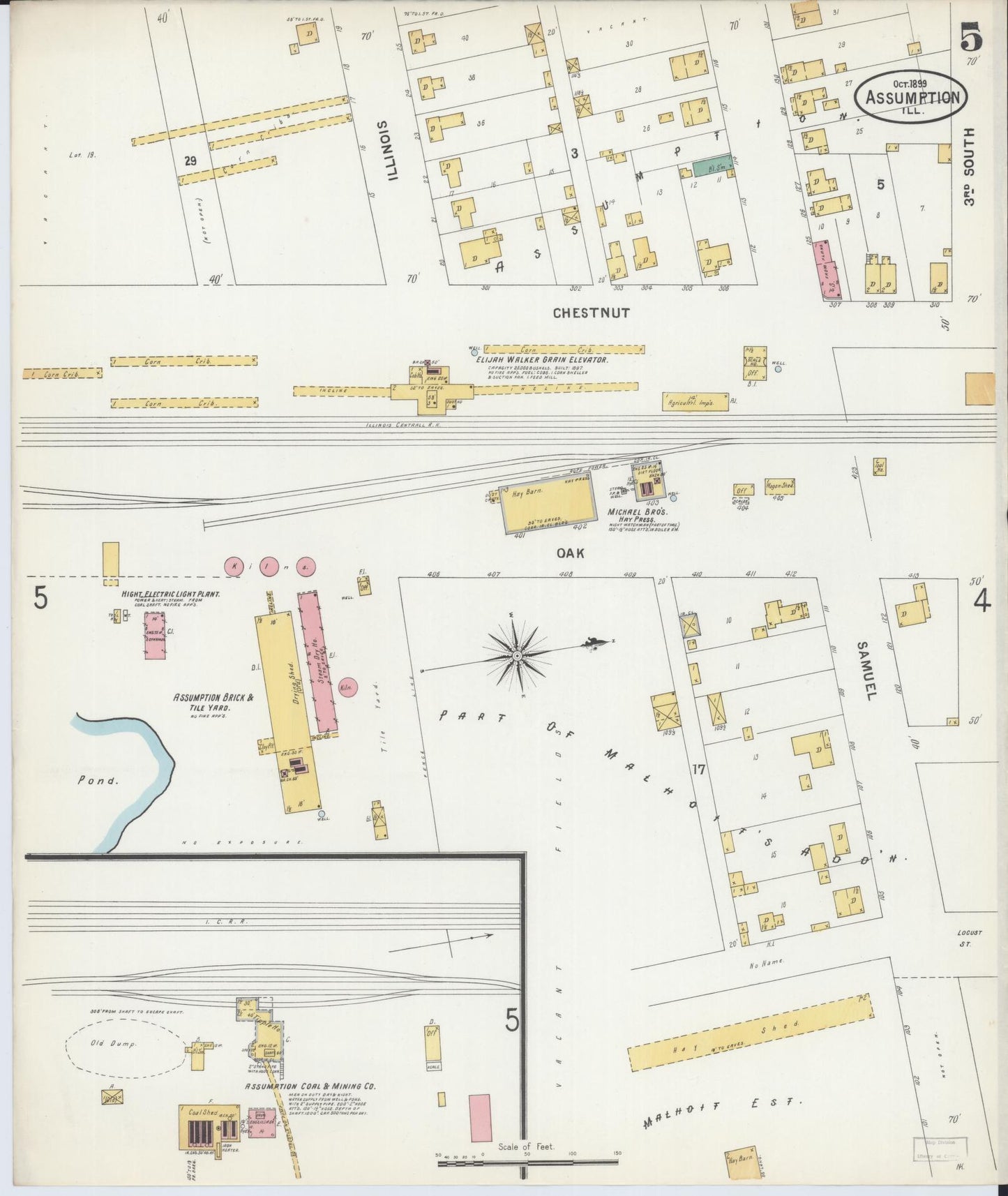 Sanborn Fire Insurance Map from Assumption, Christian County, Illinois (1899), Sheet #0005 - Historic Sanborn Fire Insurance Map Print, vintage old map wall art, antique decor, genealogy gift, Illinois Illinois map