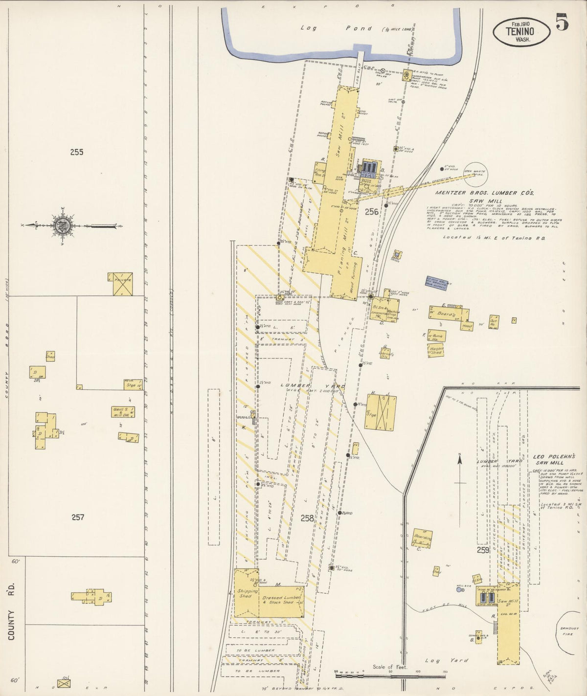 Sanborn Fire Insurance Map from Tenino, Thurston County, Washington (1910), Sheet #0005 - Historic Sanborn Fire Insurance Map Print, vintage old map wall art, antique decor, genealogy gift, Washington Washington map