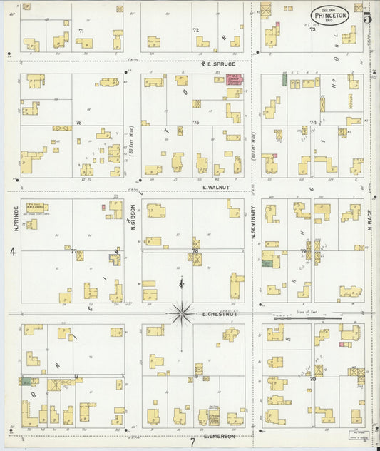 Sanborn Fire Insurance Map from Princeton, Gibson County, Indiana (1900), Sheet #0005 - Historic Sanborn Fire Insurance Map Print, vintage old map wall art, antique decor, genealogy gift, Indiana Indiana map
