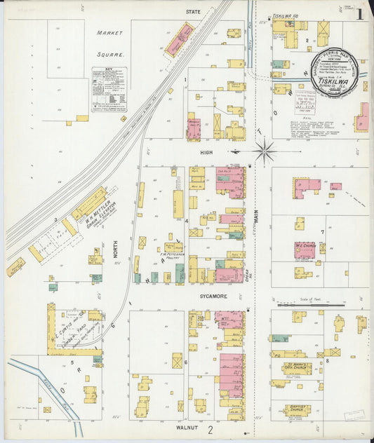 Sanborn Fire Insurance Map from Tiskilwa, Bureau County, Illinois (1901), Sheet #0001 - Historic Sanborn Fire Insurance Map Print, vintage old map wall art, antique decor, genealogy gift, Illinois Illinois map