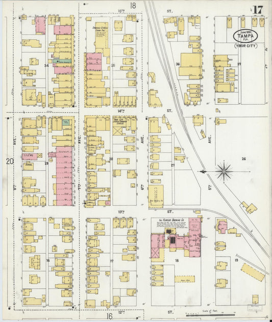 Sanborn Fire Insurance Map from Tampa, Hillsborough County, Florida (1899), Sheet #0017 - Historic Sanborn Fire Insurance Map Print, vintage old map wall art, antique decor, genealogy gift, Florida Florida map
