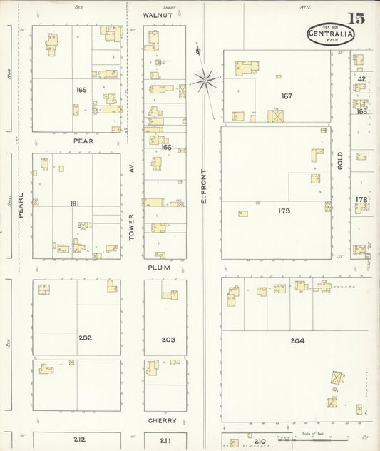 Sanborn Fire Insurance Map from Centralia, Lewis County, Washington (1891), Sheet #0015 - Historic Sanborn Fire Insurance Map Print, vintage old map wall art, antique decor, genealogy gift, Washington Washington map